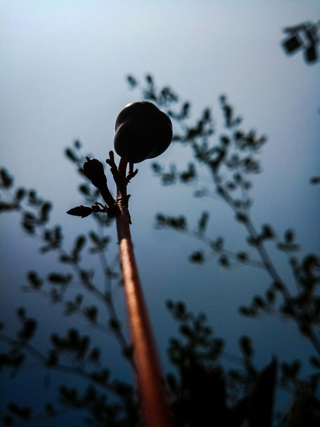 Boom microphone on a pole held above a film set with soft lighting